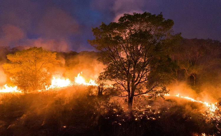 Pantanal: 15% do bioma já foi destruído. A área perdida é similar à da cidade de Nova York (Ibere PERISSE/AFP)