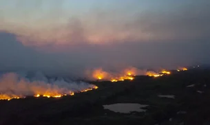 De olho em florestas, sinal de fumaça e furacões: como startups ajudam com as mudanças climáticas