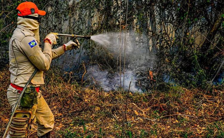 O Pantanal já perdeu 19% de sua área para as queimadas; só nos 20 primeiros dias de setembro foram mais 5.900 focos de incêndios (Mayke Toscano/Secom-MT/Divulgação)