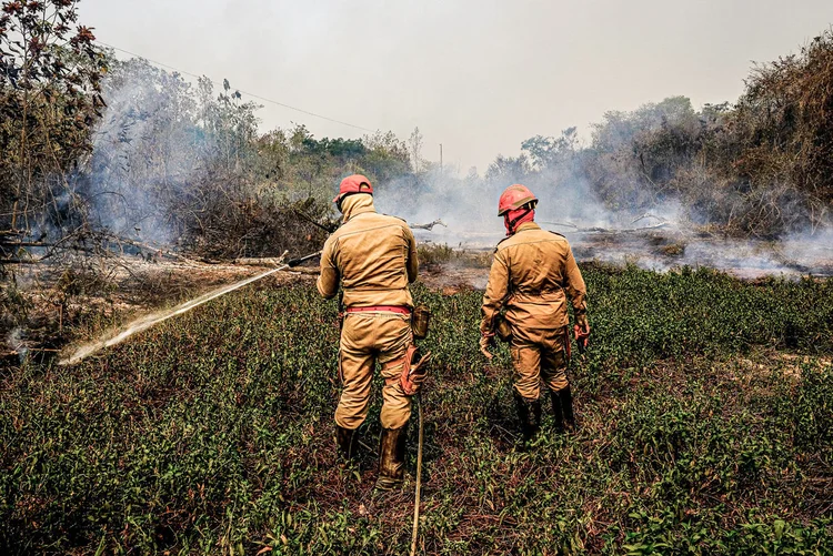 Pantanal: o governo Jair Bolsonaro tem 1 ano e nove meses, não há como resolver todos os problemas do Brasil, disse Heleno (Mayke Toscano/Secom-MT/Divulgação)