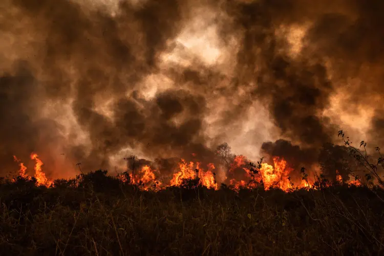 Defesa Civil informou que houve redução de 20% dos focos de incêndios de sábado para domingo (NurPhoto / Colaborador/Getty Images)