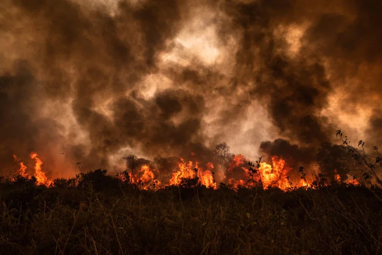 Pantanal: bioma tem mais de 15 mil pontos de incêndio identificados (NurPhoto / Colaborador/Getty Images)