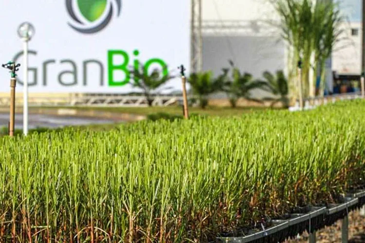 Estação de produção de etanol celulósico da Granbio em Alagoas: empresa vai à bolsa (Michel Rios/Granbio/Divulgação)