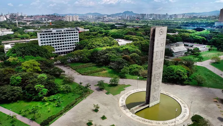 Já os docentes brancos são 90,1% dos professores, proporção 12 vezes maior que a de negros e indígenas (USP/Reprodução)