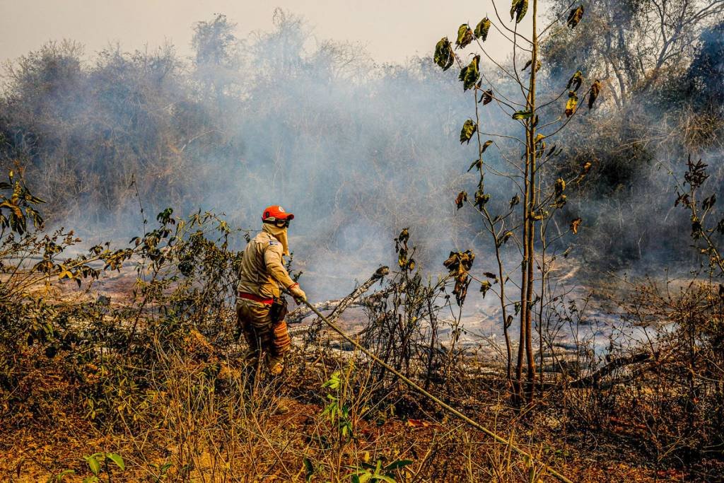 Pantanal e Amazônia registram mais um recorde de queimadas