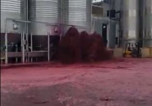 Tanque explode e vinícola perde milhares de litros de vinho; veja vídeo