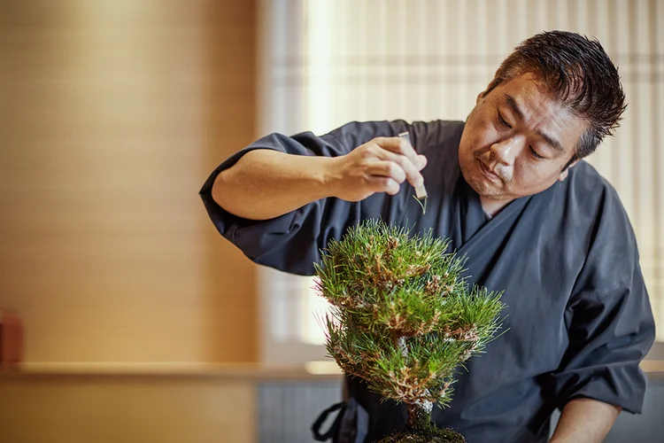 O chef Edson Yamashita, do estrelado Ryo (Divulgação/Divulgação)