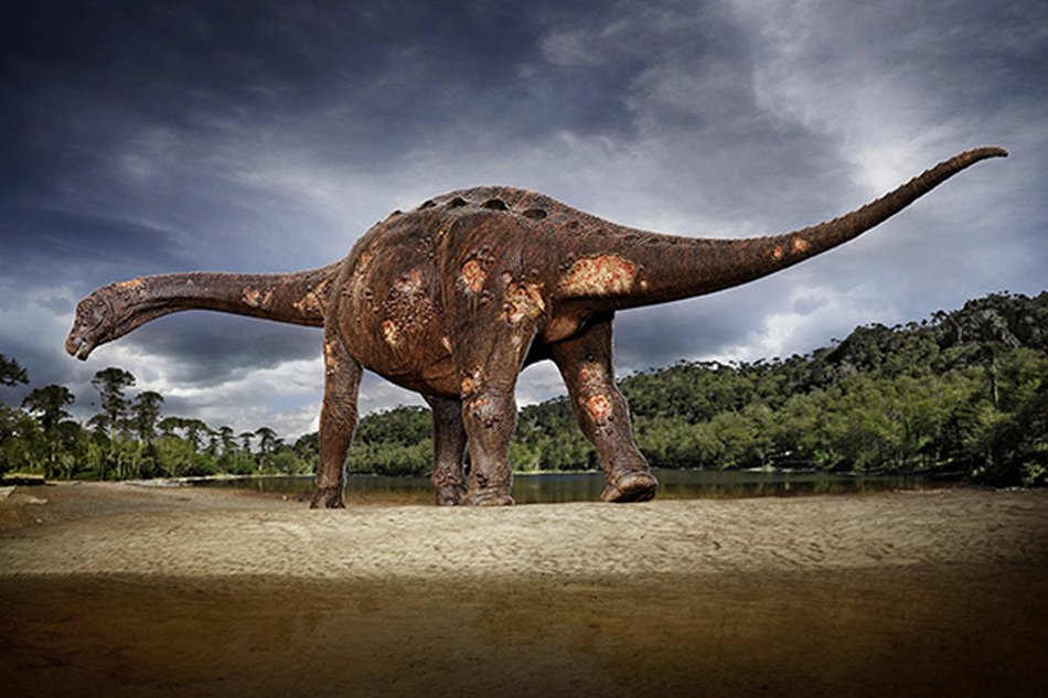Dinossauro: fóssil de animal descoberto por cientistas brasileiros mostra que ele foi acometido por doença óssea (Hugo Cafasso/Reprodução)