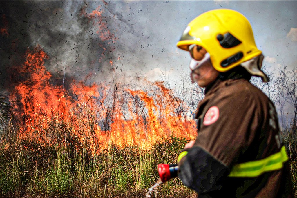 A responsabilização judicial por danos climáticos pode revolucionar o combate ao desmatamento