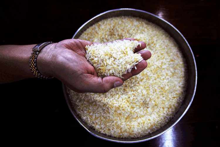 MP autoriza importação de arroz após enchentes no RS (Chaiwat Subprasom/Reuters)