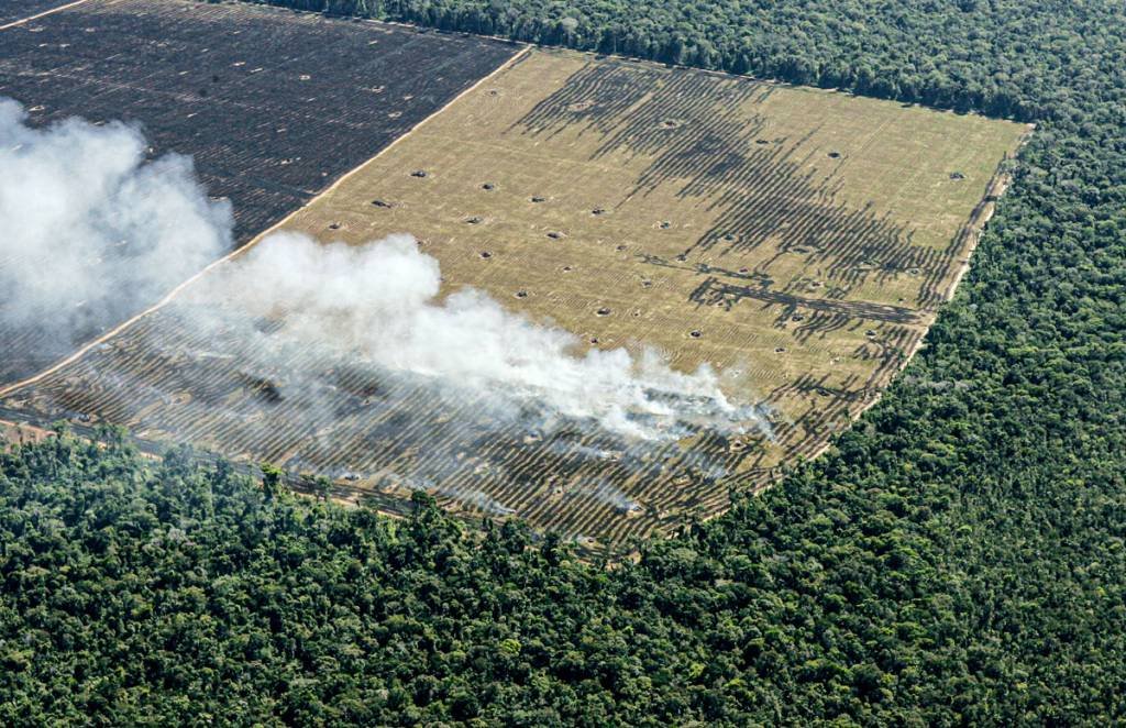 Desmatamento na Amazônia: foram 13.235 km2 de corte raso no período de 01 agosto de 2020 a 31 julho de 2021. (Reuters/Rickey Rogers)