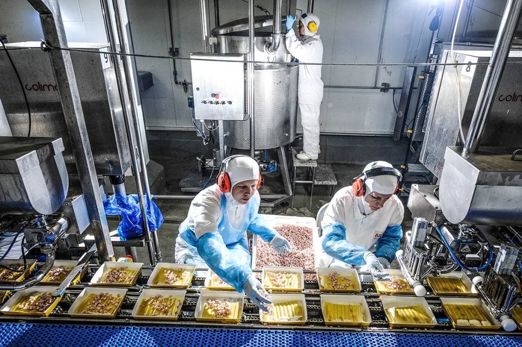 Linha de produção da BRF em Ponta Grossa, Paraná: empresa quer introduzir carnes cultivadas no portfólio até 2024 (Exame/Germano Lüders)
