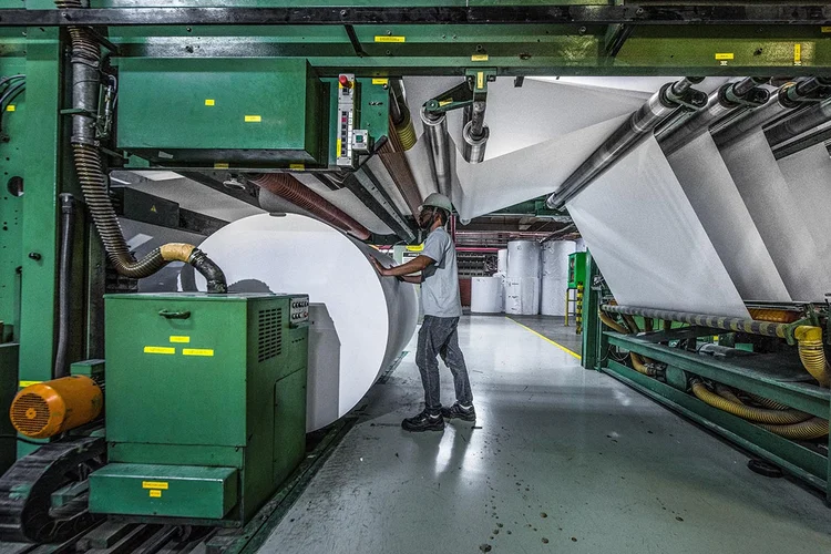 Suzano: setor de papel e celulose pode ser um dos mais afetados pela variação cambial | Foto: Germano Lüders (Germano Lüders/Exame)