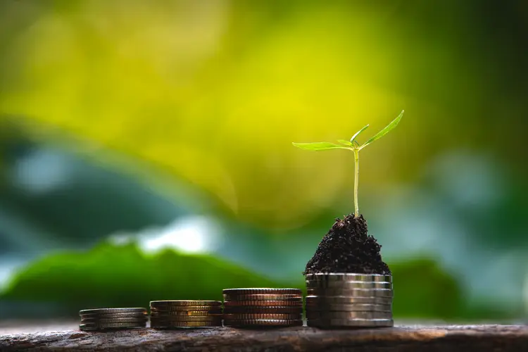 Investimentos sustentáveis: concurso da FAMA Investimentos irá selecionar melhores artigos acadêmicos sobre análises e desempenho financeiro com foco em ESG (Natnan Srisuwan/Getty Images)