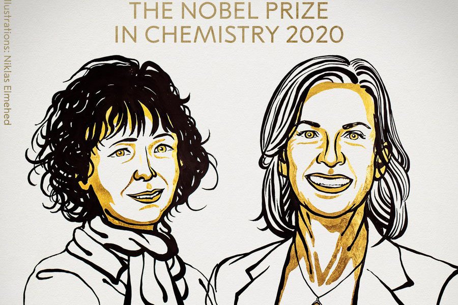 Nobel de Química: duas mulheres são premiadas em 2020 (Nobel/Reprodução)