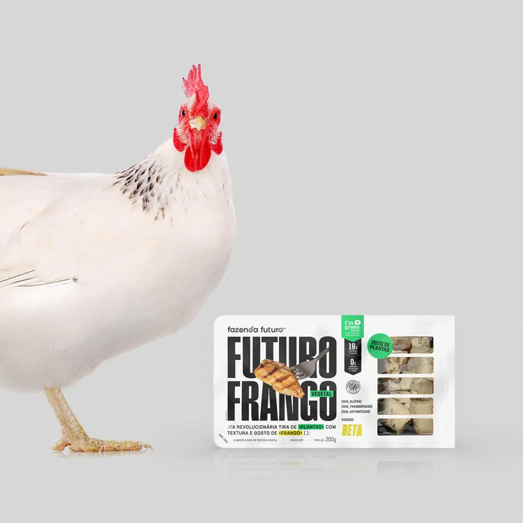 white hen eating wheat grains isolated on white, studio shot (Divulgação/Divulgação)