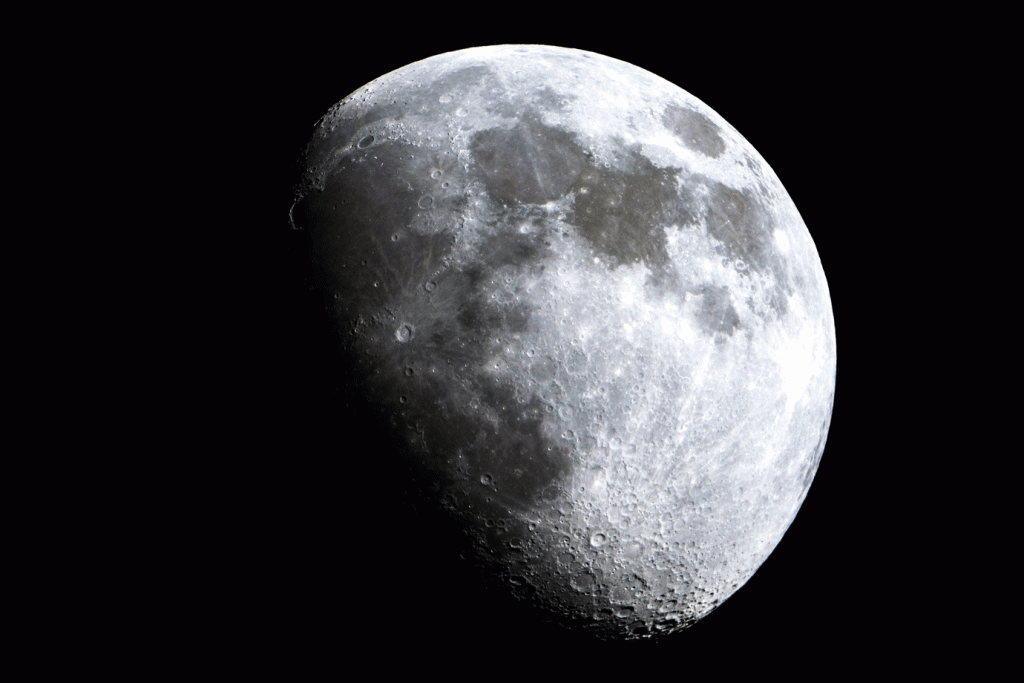 Lua: O modelo transporta vários rovers lunares, incluindo um modelo em miniatura japonês de apenas oito centímetros (Alexander Rieber/Getty Images)