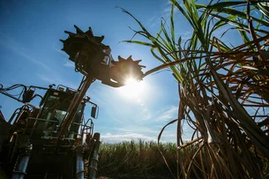 Senado aprova PL que divide com produtor de cana ganhos dos créditos de carbono de biocombustíveis