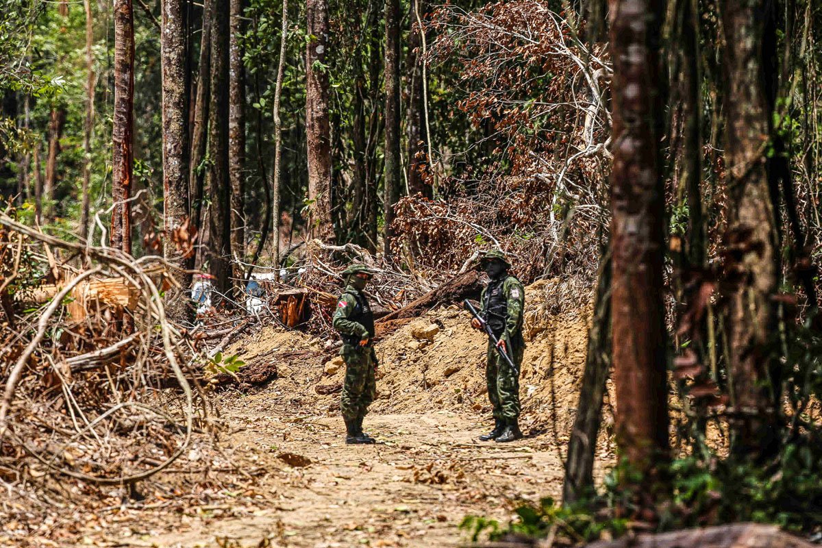 PL que altera licenciamento ambiental não abre margem para desmatamento, diz consultor do agro