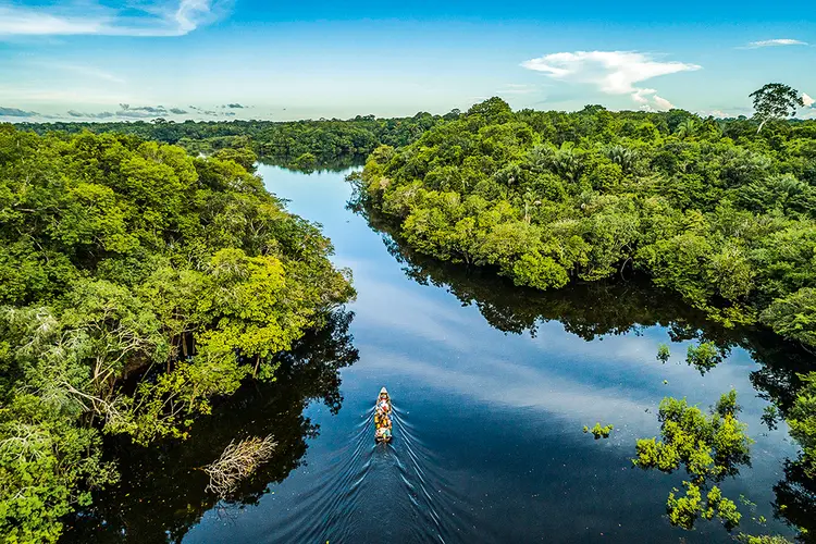 Preservação da Amazônia: Itaú promove evento para arrecadação de fundos para a floresta (Andre Dib/Pulsar)