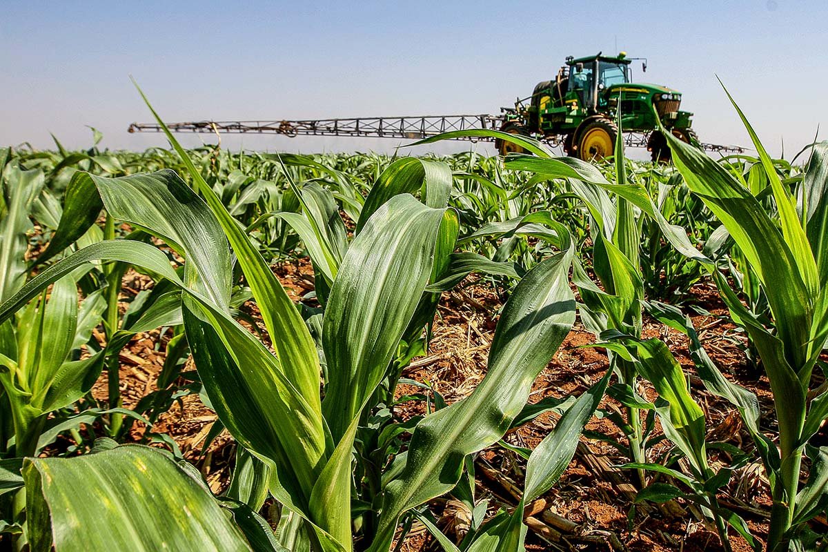 Agricultura: Exportação do agro cresce 61% em outubro, para US$ 14,25 bi