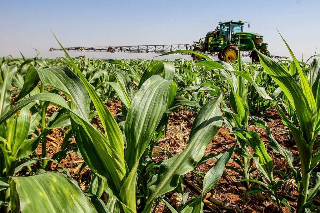 Valor da Produção Agropecuária fecha 2022 em R$ 1,189 trilhão
