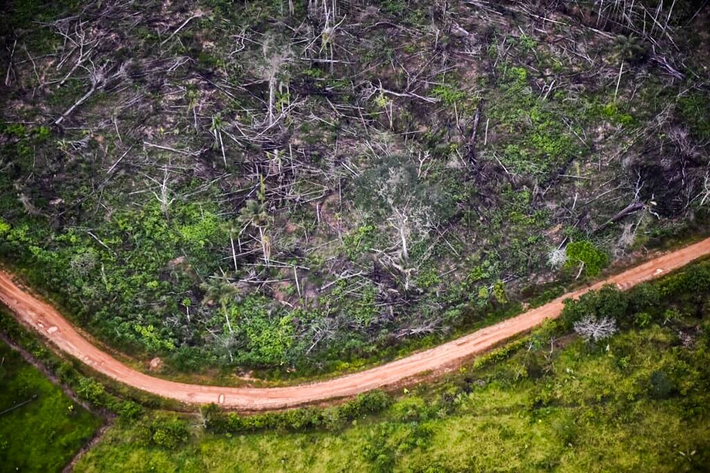 Desmatamento na Amazônia: estas alterações estão aumentando as chances de um vírus virulento, uma bactéria ou um fungo saltar de uma espécie a outra e causar novas pandemias (AFP/Carl de Souza)