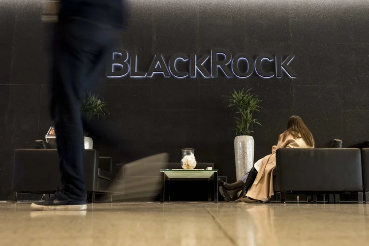 Fundo BlackRock: gestoras dizem que os portfólios ESG mostraram desempenho superior durante a onda vendedora da Covid-19 (Bloomberg/Bloomberg)