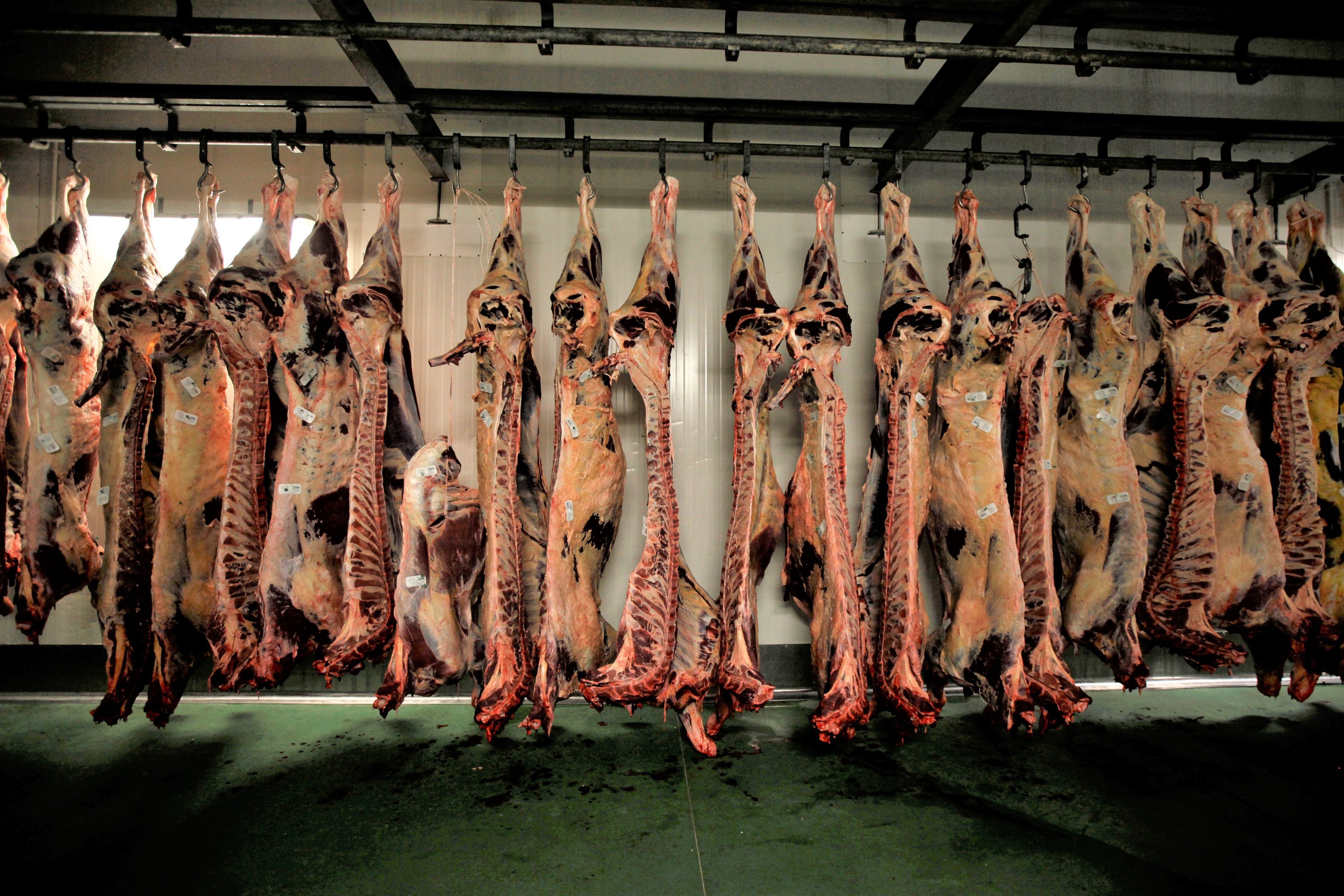 Exportação de carne sobe, mas preço "lá fora" cai pela 1ª vez no ano