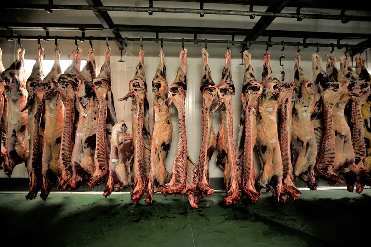 Carne: em receitas, o aumento em base anual é ainda mais expressivo, de 20%, para 6,1 bilhões de dólares (File Photo/Reuters)