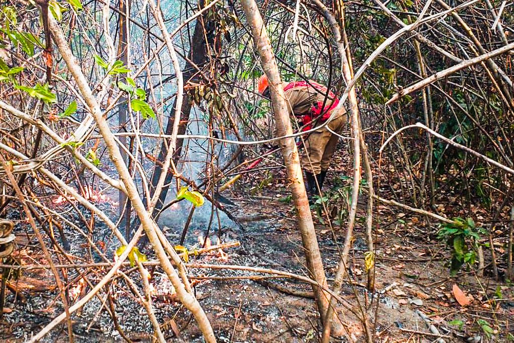 Incêndio na Chapada dos Veadeiros é extinto após cerca de duas semanas