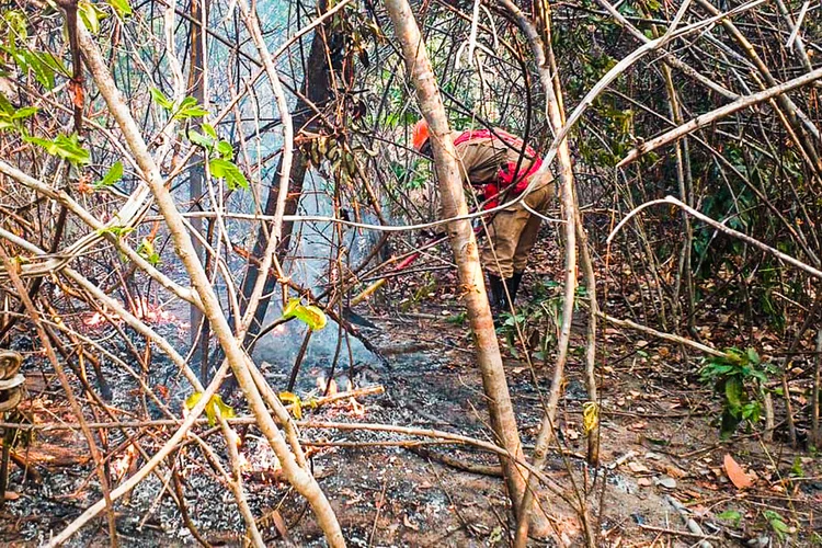 Corpo de Bombeiros combate incêndio na Chapada dos Veadeiros (Corpo de Bombeiros/Agência Brasil)