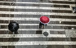 Imagem referente à matéria: Tempestade em São Paulo: rajadas de vento chegarão até 90 km/h neste fim de semana