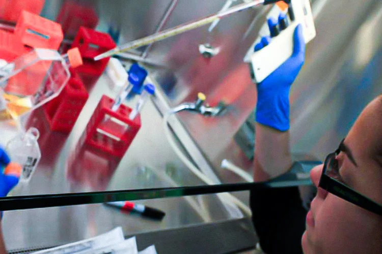Utilização inadequada de antibióticos contribui para o quadro de bactérias multirresistentes  (Getty Images/Getty Images)