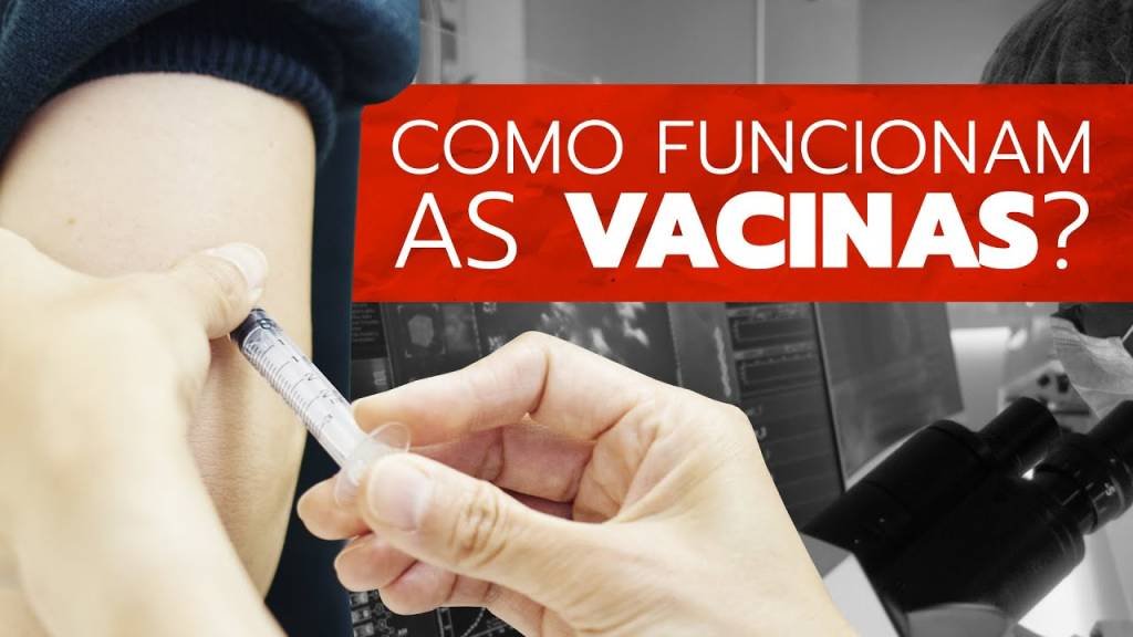 Examinando: como uma vacina age no organismo?