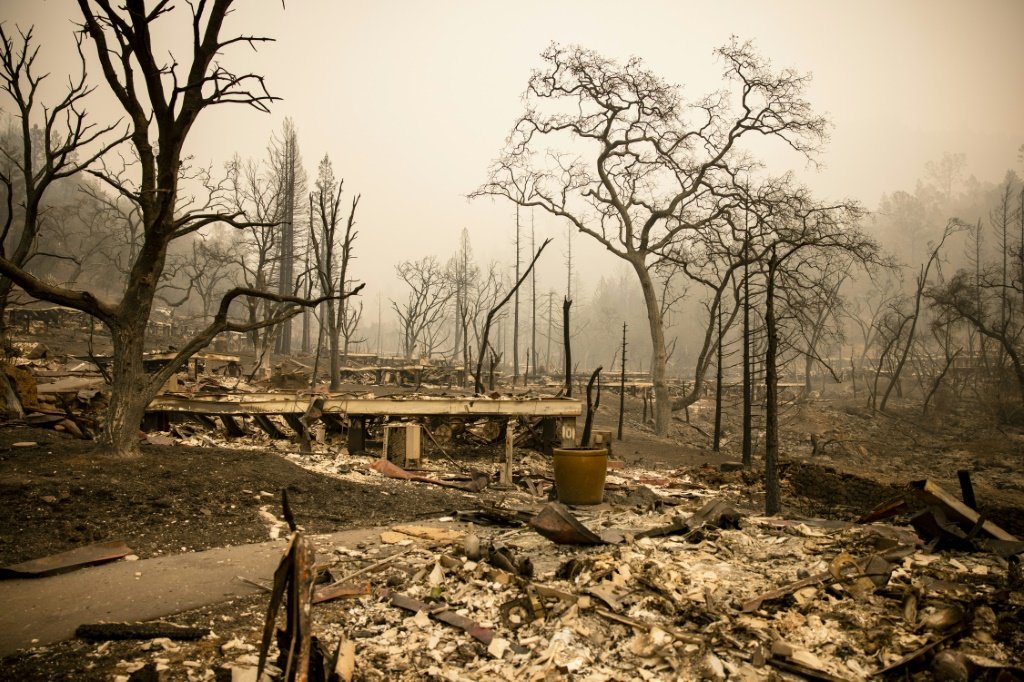 Paraíso vitivinícola reduzido a cinzas por incêndios na Califórnia