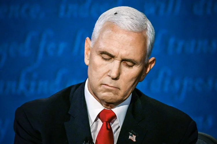 Mike Pence: a mosca — que se manteve por mais de dois minutos na cabeça do vice-presidente — monopolizou os comentários no Twitter (AFP/AFP)