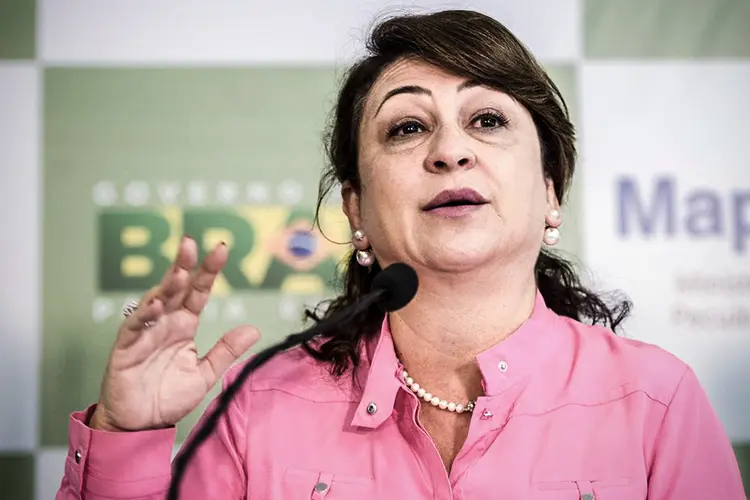 Ex-ministra nota a criação do órgão gestor do Sistema Brasileiro do Comércio de Emissões como um dos entraves (Marcelo Camargo/Agência Brasil)