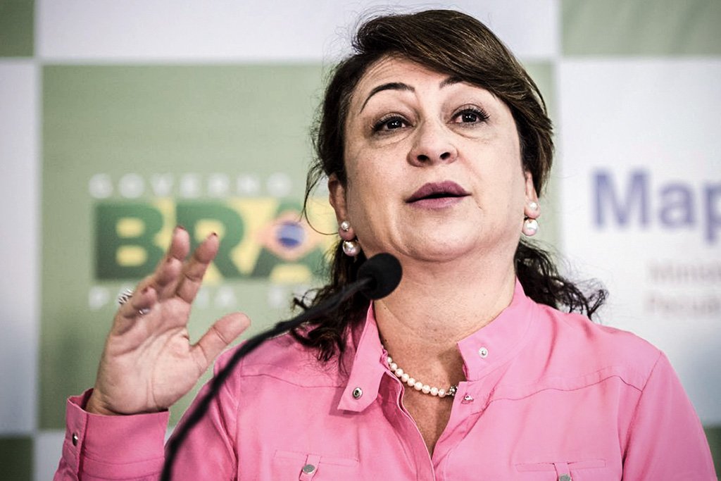 Senadora Kátia Abreu é diagnosticada com covid-19