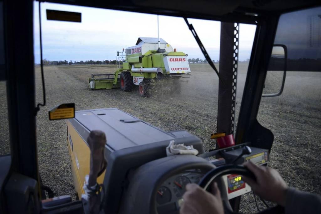 Colheita de grãos na Argentina: muitos agricultores guardam a produção nos silos por meses como proteção contra a desvalorização da moeda e inflação galopante (Foto:/Bloomberg)