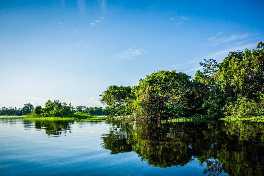 Floresta Amazônica: fundo criado pela JBS prevê conservação e restauração da região, além de desenvolvimento científico e socioeconômico das comunidades locais (Silvestre Garcia/Getty Images)