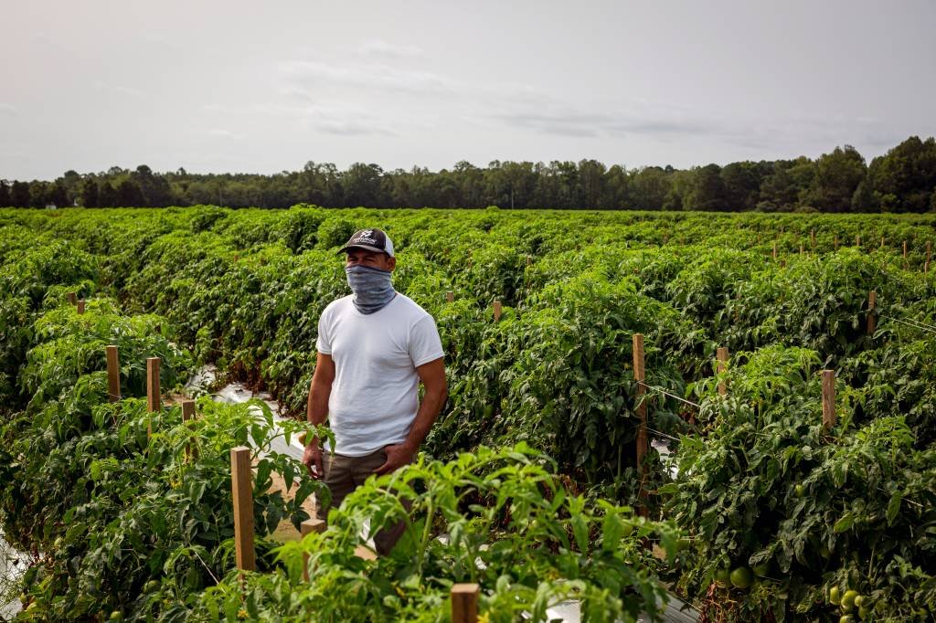 Empresa dos EUA proíbe trabalhadores de sair das fazendas na pandemia
