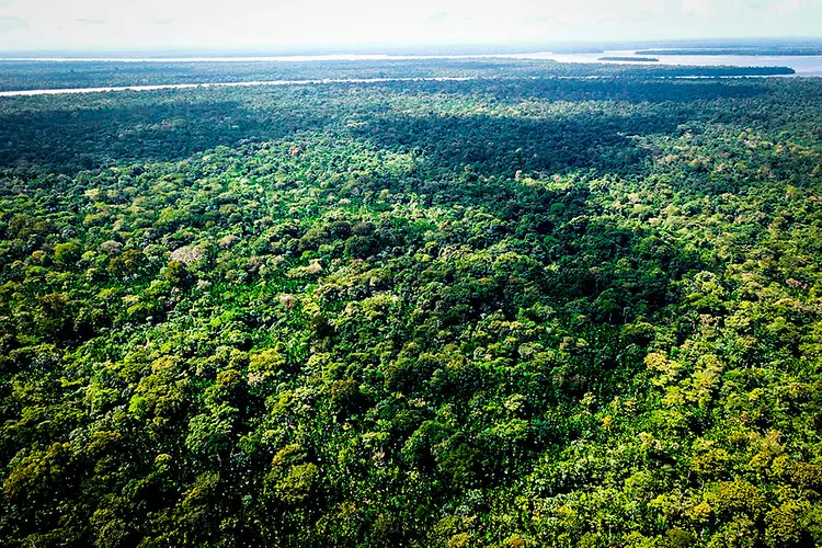 Amazônia: ONU se comprometeu a doar US$ 775 milhões para fundo sustentável do BID (Ricardo Lima/Getty Images)