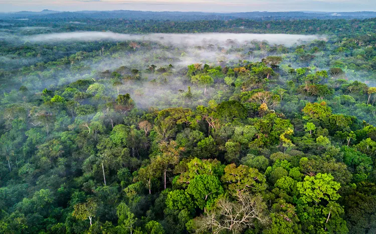 Graças à Amazônia, o Brasil concentra 40% das florestas tropicais do mundo (Ignacio Palacios/Getty Images)