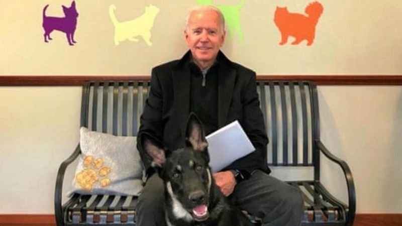 Biden fratura o pé direito durante brincadeira com o cachorro