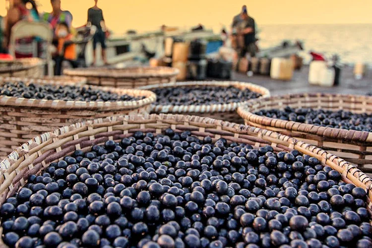 Açaí Valley, no Pará: comidas típicas batizam ecossistemas de empreendedores país afora (Marcia do Carmo/Divulgação)