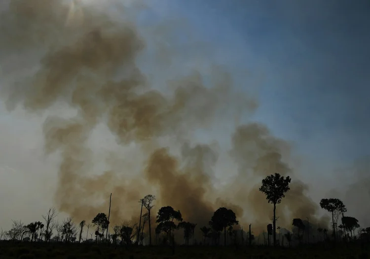 Queimada na Amazônia: países europeus temem que a expansão do mercado de produtos agrícolas e carnes cause um aumento dramático do desmatamento na região (Aldo Gamboa/AFP Photo)