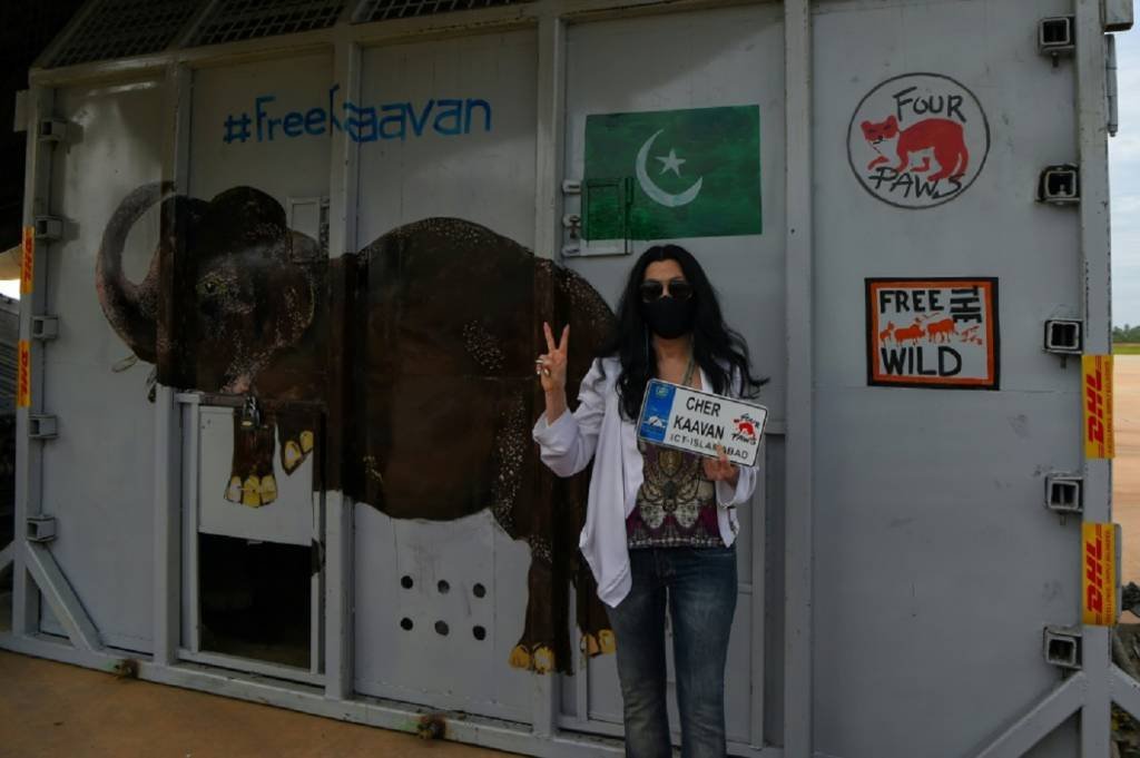 Cher recebe no Camboja elefante maltratado no Paquistão
