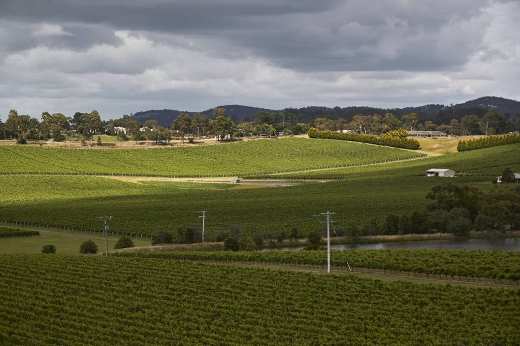 Tarifas acabam com paixão dos chineses por vinho australiano