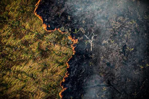 Imagem referente à matéria: Brasil registra queda de 70% na área queimada no 1º trimestre de 2025